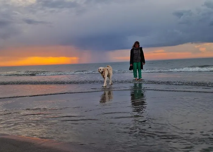 Campingplatz Little Dierhagen