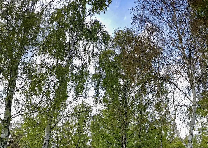 Little Campingplatz Dierhagen